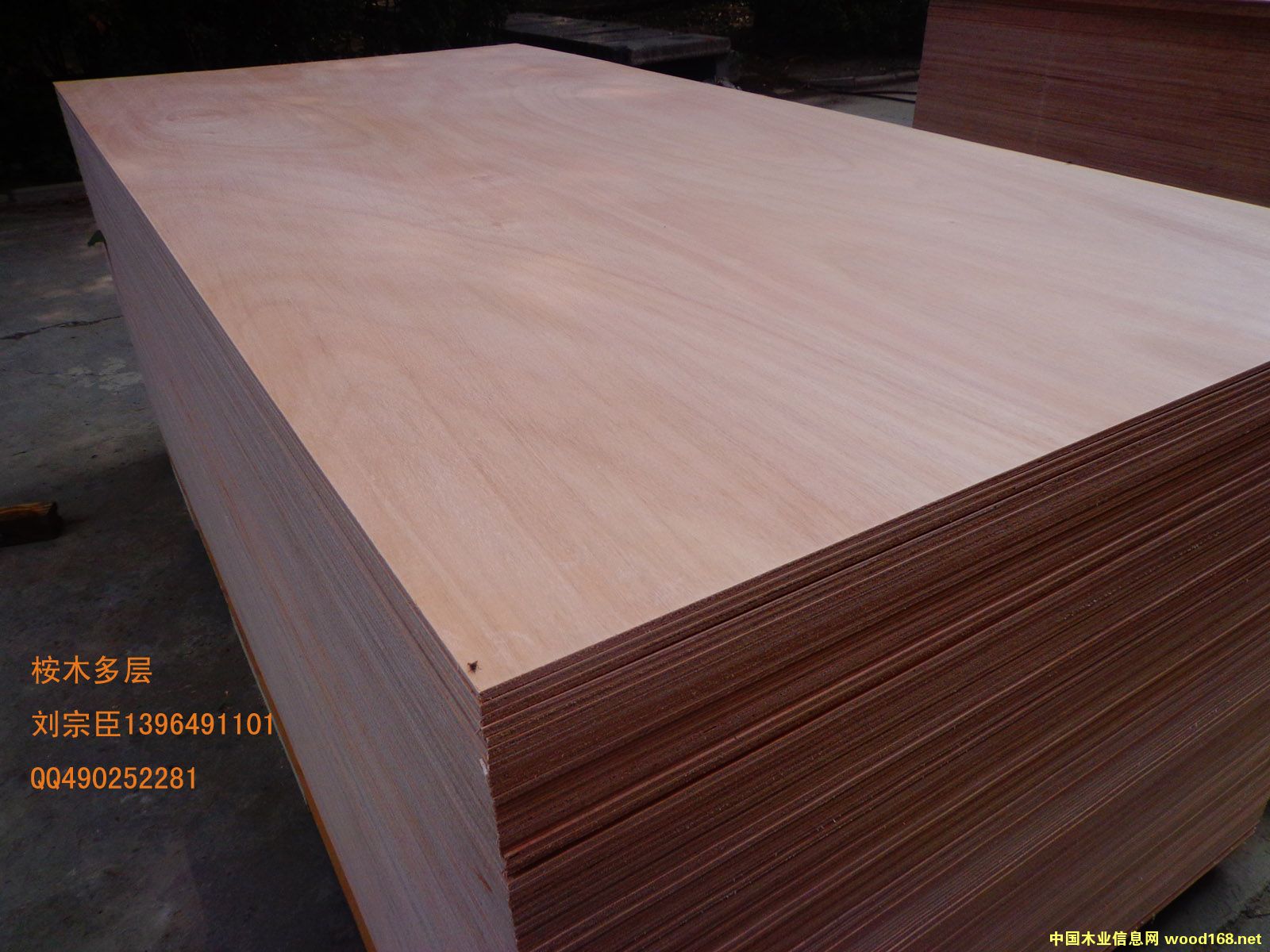 ���Ӱ��z�� ���ϰ���ڵ�Ԕ��(x��)��B