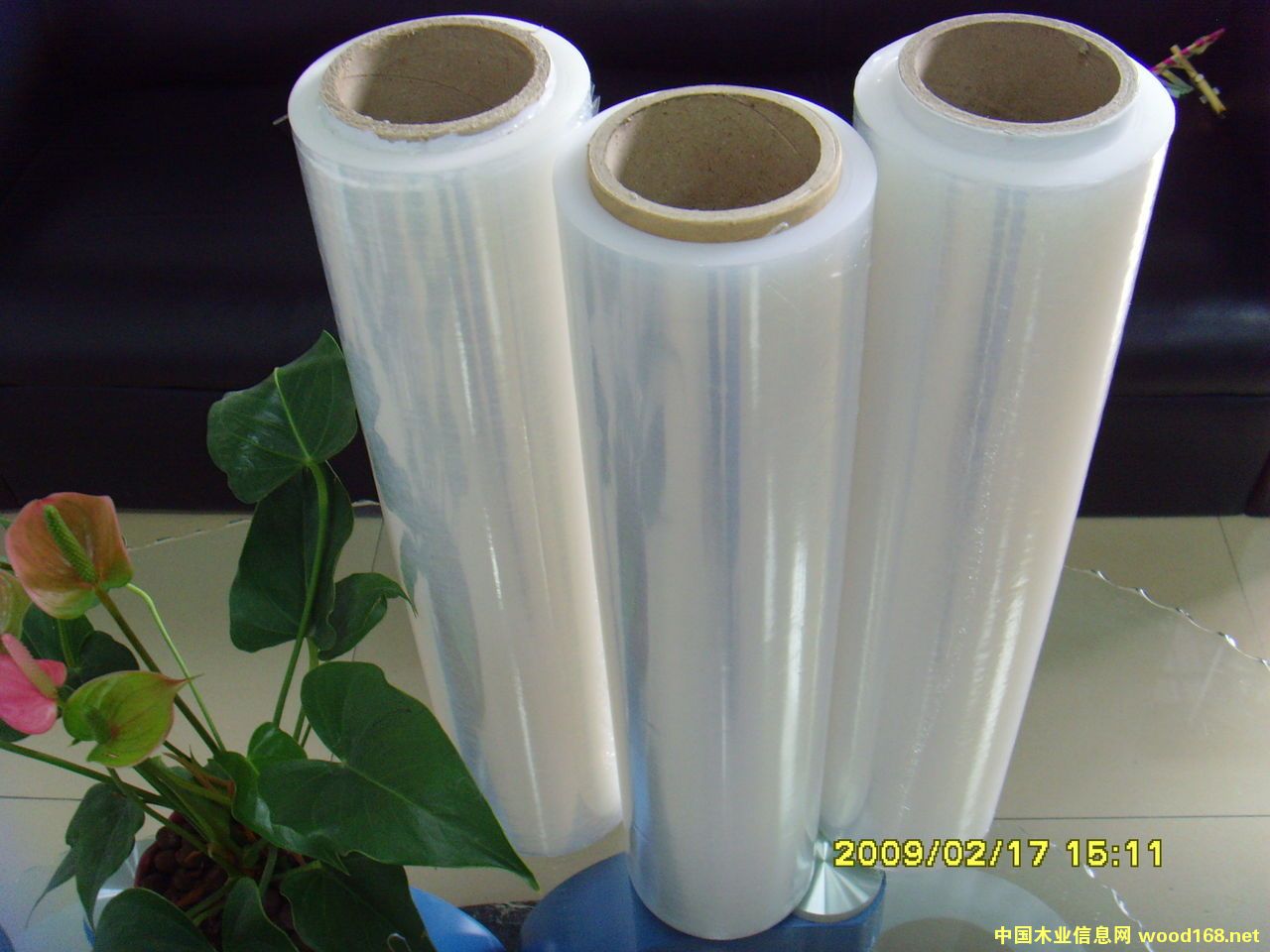 �����p�@Ĥ��Ԕ��(x��)��B