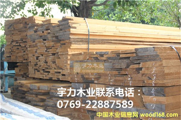 ������ľԭľ��Ԕ��(x��)��B