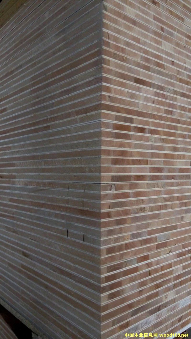 [��] ����(y��ng)�z�ϰ�