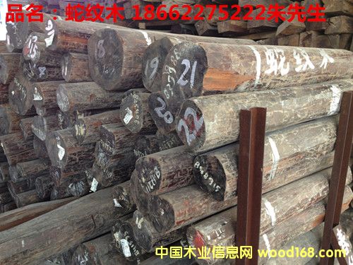 蛇紋木的詳細(xì)介紹