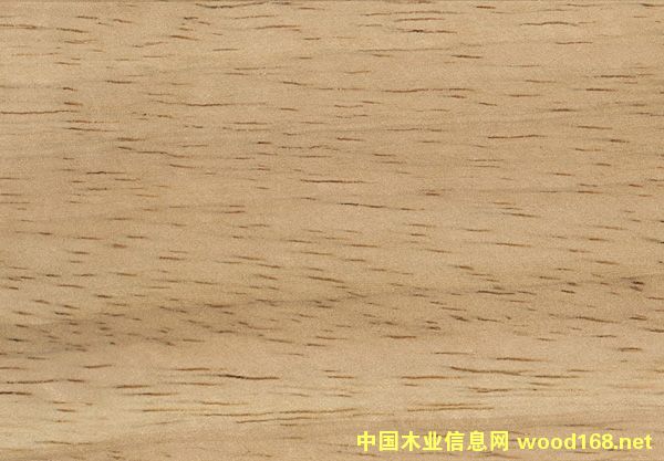 ���zľ��Ԕ����B