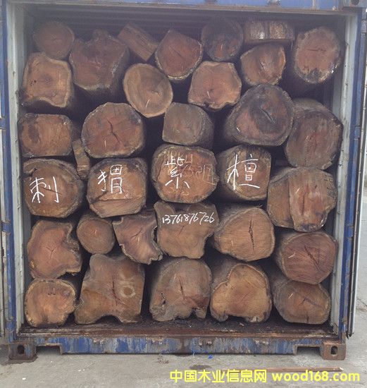 �����̴��Ԕ����B