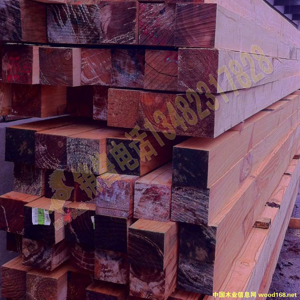 ݗ���ɝ�� ���b�бP�@�����ӵ�Ԕ��(x��)��B