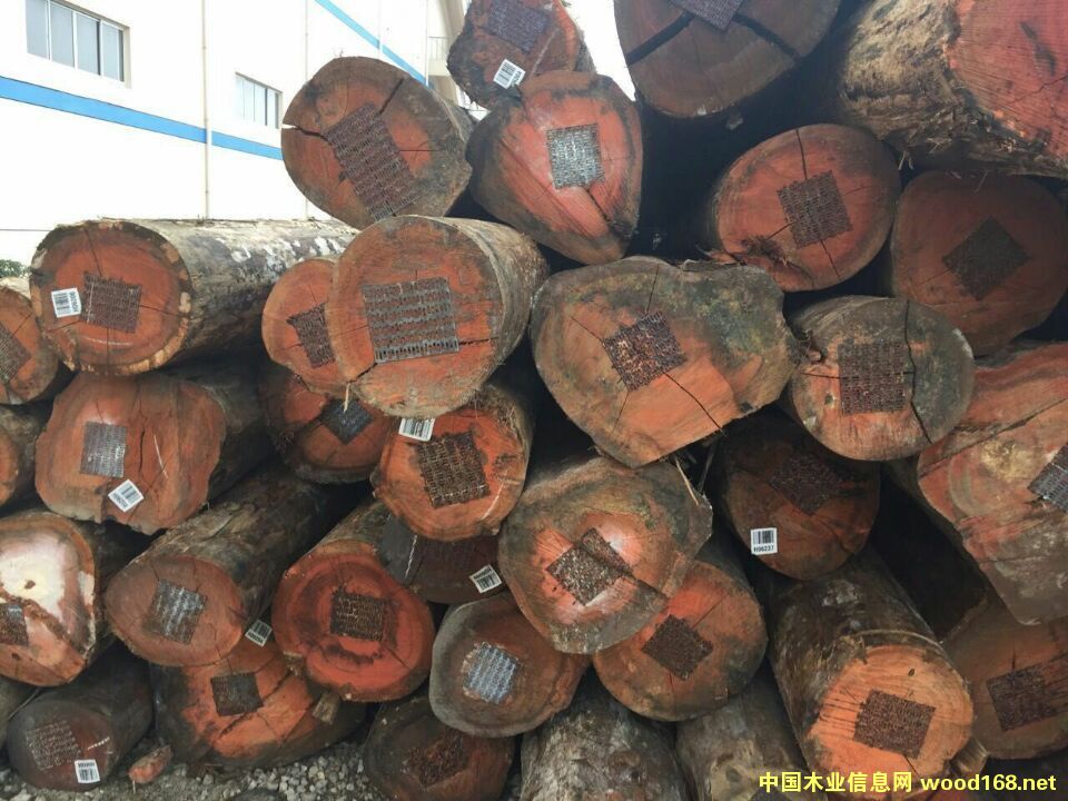 õ��ľ��Ԕ��(x��)��B