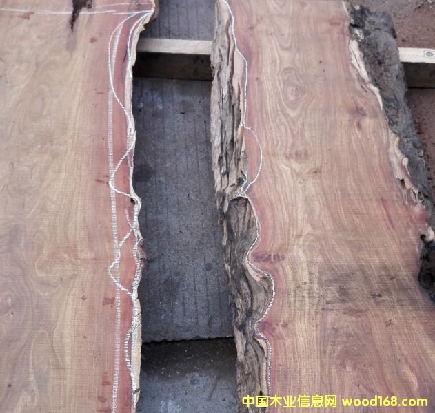 �����̴��Ԕ��(x��)��B