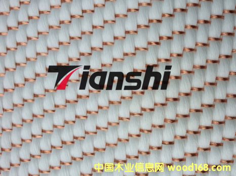 ���~���w��Ԕ����B