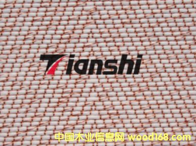 ���~���w��Ԕ����B