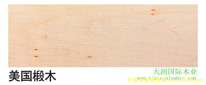 �ľ��Ԕ����B