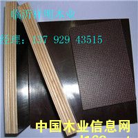 ����(y��ng)�����谷������ģ��Ҿ߰�