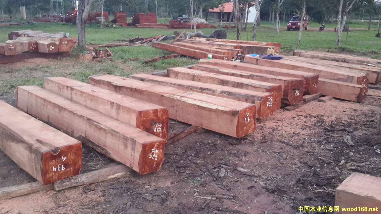 �߲�ľ TARARA��Ԕ��(x��)��B