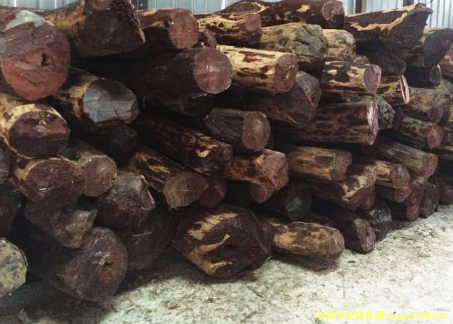 С�~��̴��Ԕ����B