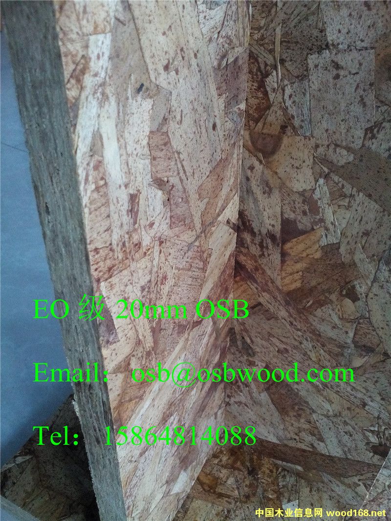 OSBľ�T���A�����r��