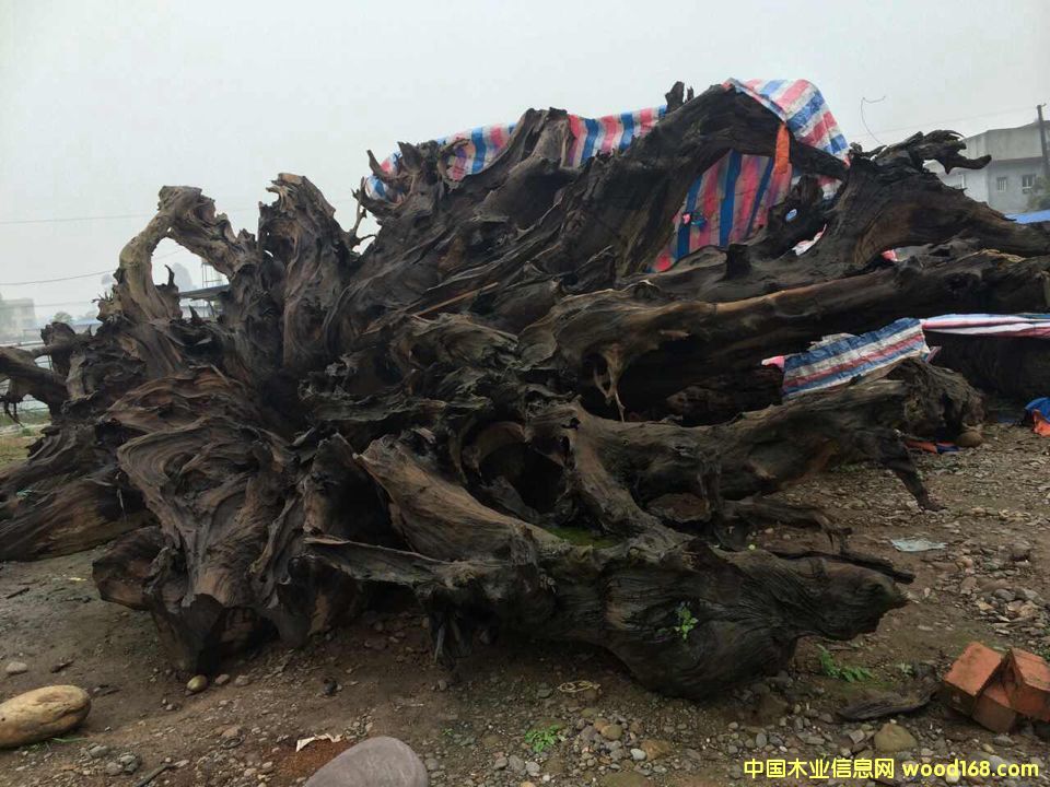 ��z骞�ľ����^2