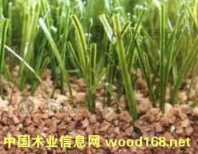 �����ƺ����w�� ܛľ����Ԕ����B