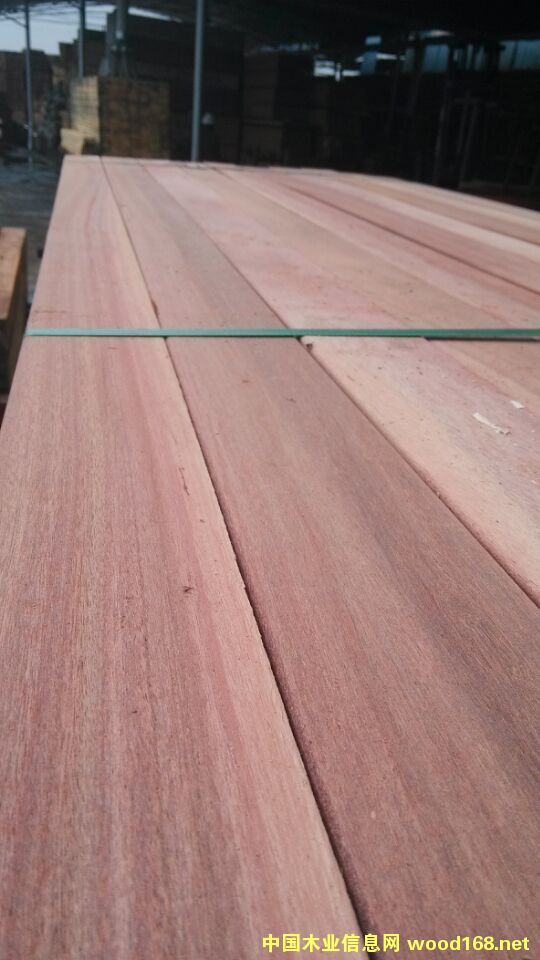 ����ľԭľ������ľ�S��