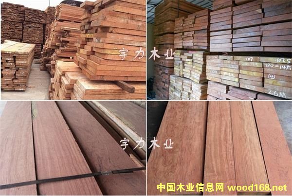 ��ɽ�ͻ����