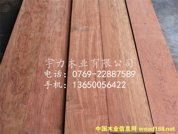 �ͻ�2.5CM���