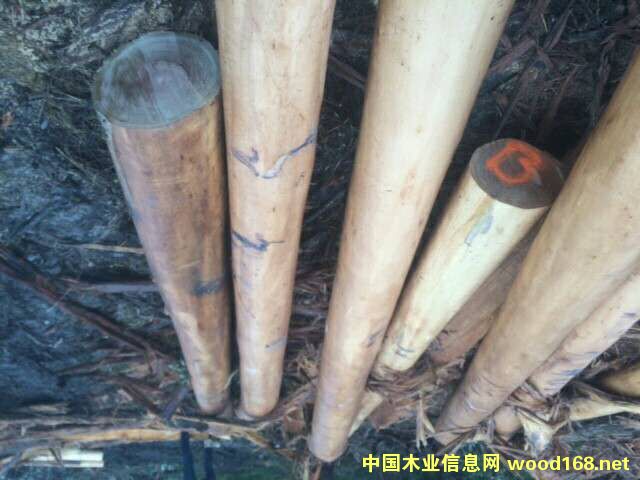 ��ľ��Ԕ��(x��)��B