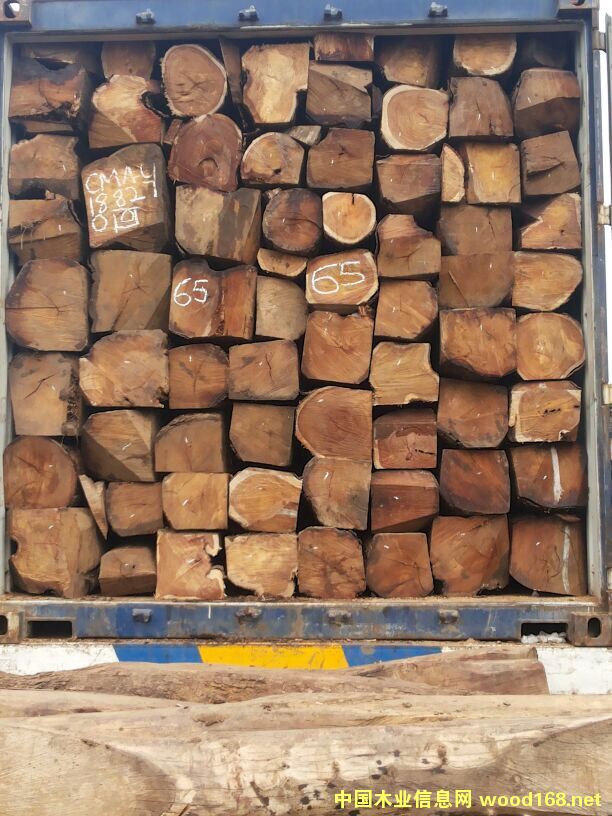 �׃�(n��i)��-�ȽB�����̴�M�ڈ��P(gu��n)����