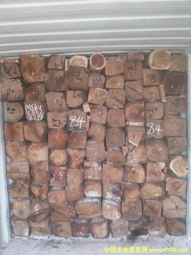 �S�Ҹ۴����̴�M�ڈ��P(gu��n)���m(x��)