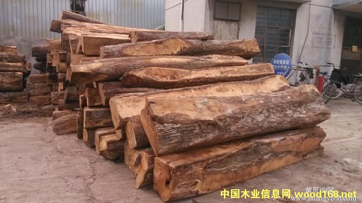 ���޴����̴�M�ڈ��P(gu��n)���m(x��)