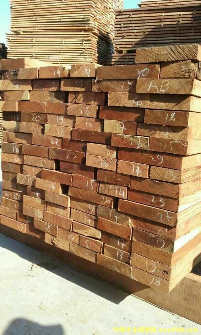 ��֬������ʲ�