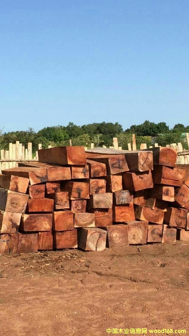 ��֬�����