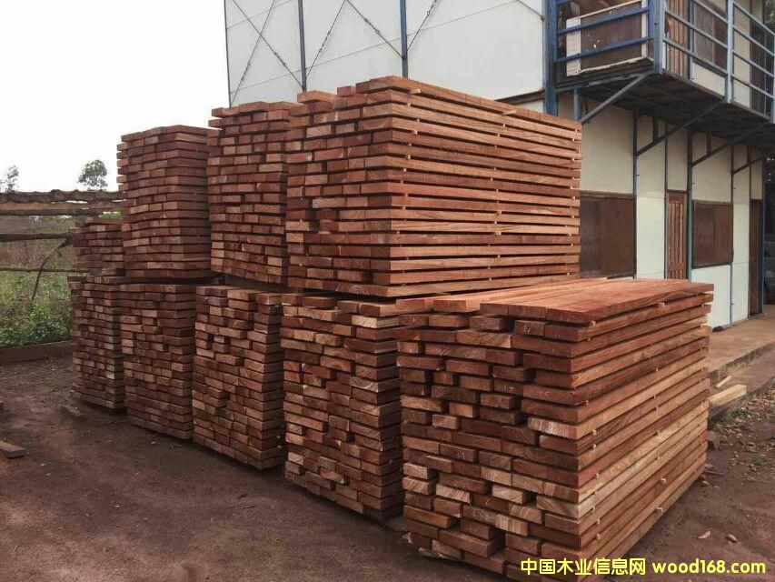 ��֬������ʲ�