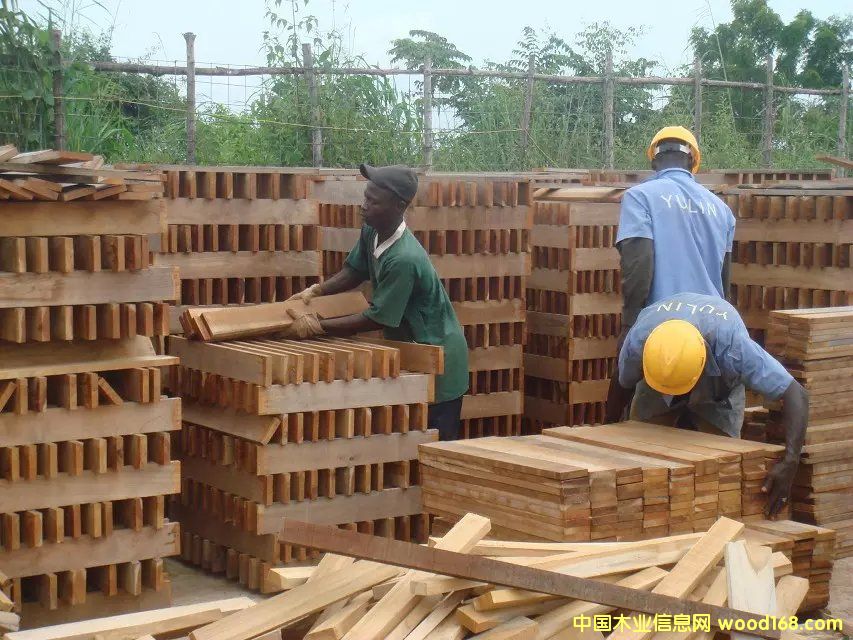 ���ǹ��S��ľë�������� 