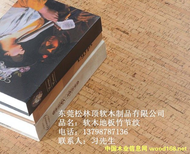 ܛľ�ذ�ϵ��