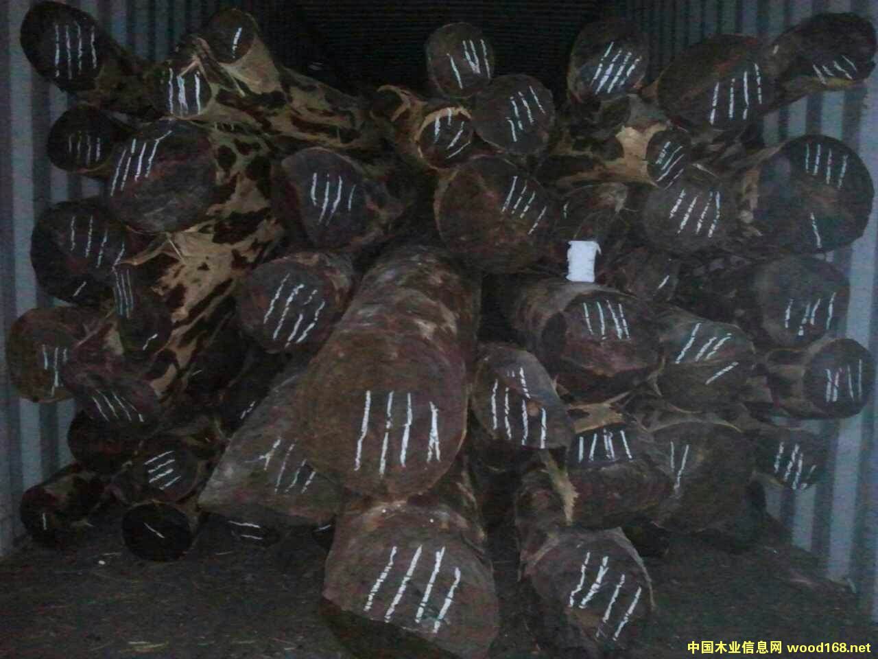 [��] ٝ�ȁ�Ѫ̴��Ƥ