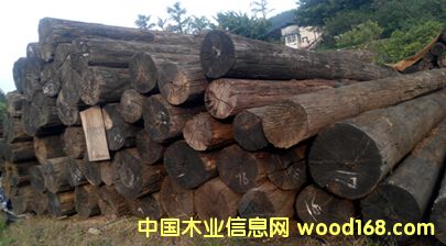 ����+�ͻ�+��ľ+�ľ��Ԕ����B