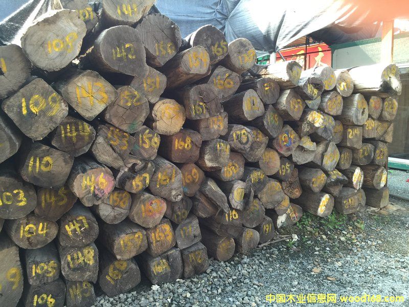 ���黨��ԭľ��30 cm X 3 m)��Ԕ��(x��)��B