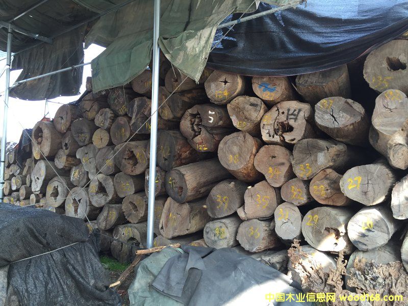 ���黨��ԭľ��40 cm X 4 m)��Ԕ��(x��)��B