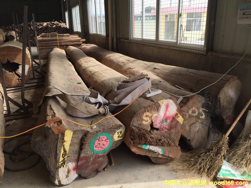 ���黨��ԭľ (80 cm X 8 m)��Ԕ��(x��)��B