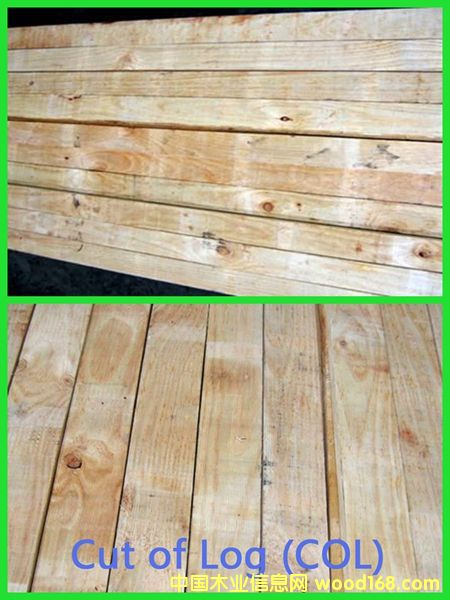 PAN PAC���Scol�Ҿ߼���Ԕ����B