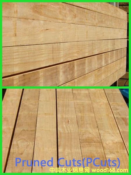 PAN PAC���SPCuts����Ԕ����B