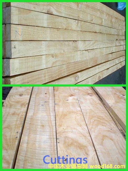 PAN PAC���Scuts�ȼ���Ԕ����B