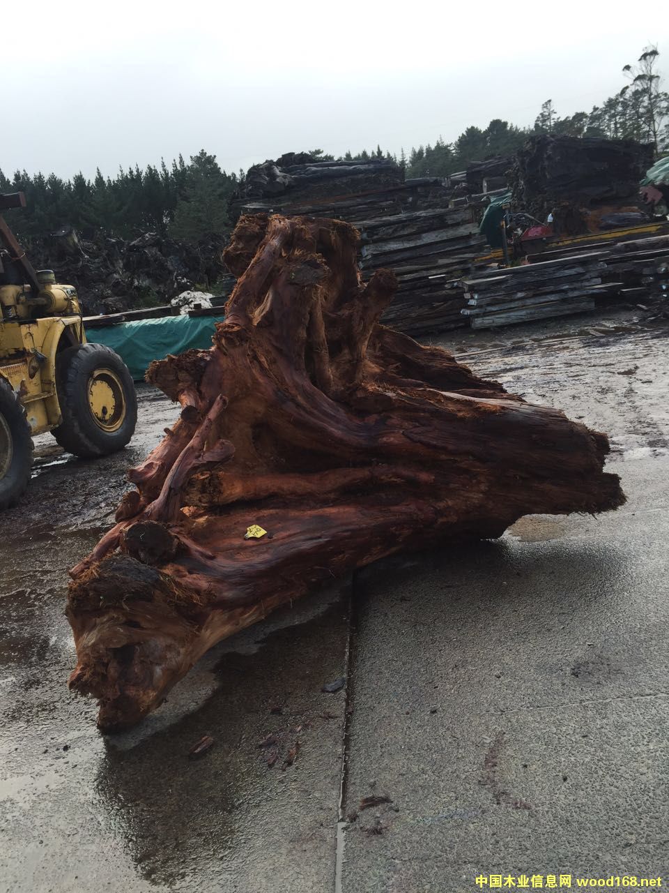 �����m5�f��ꎳ�ľ ���^��Ԕ��(x��)��B