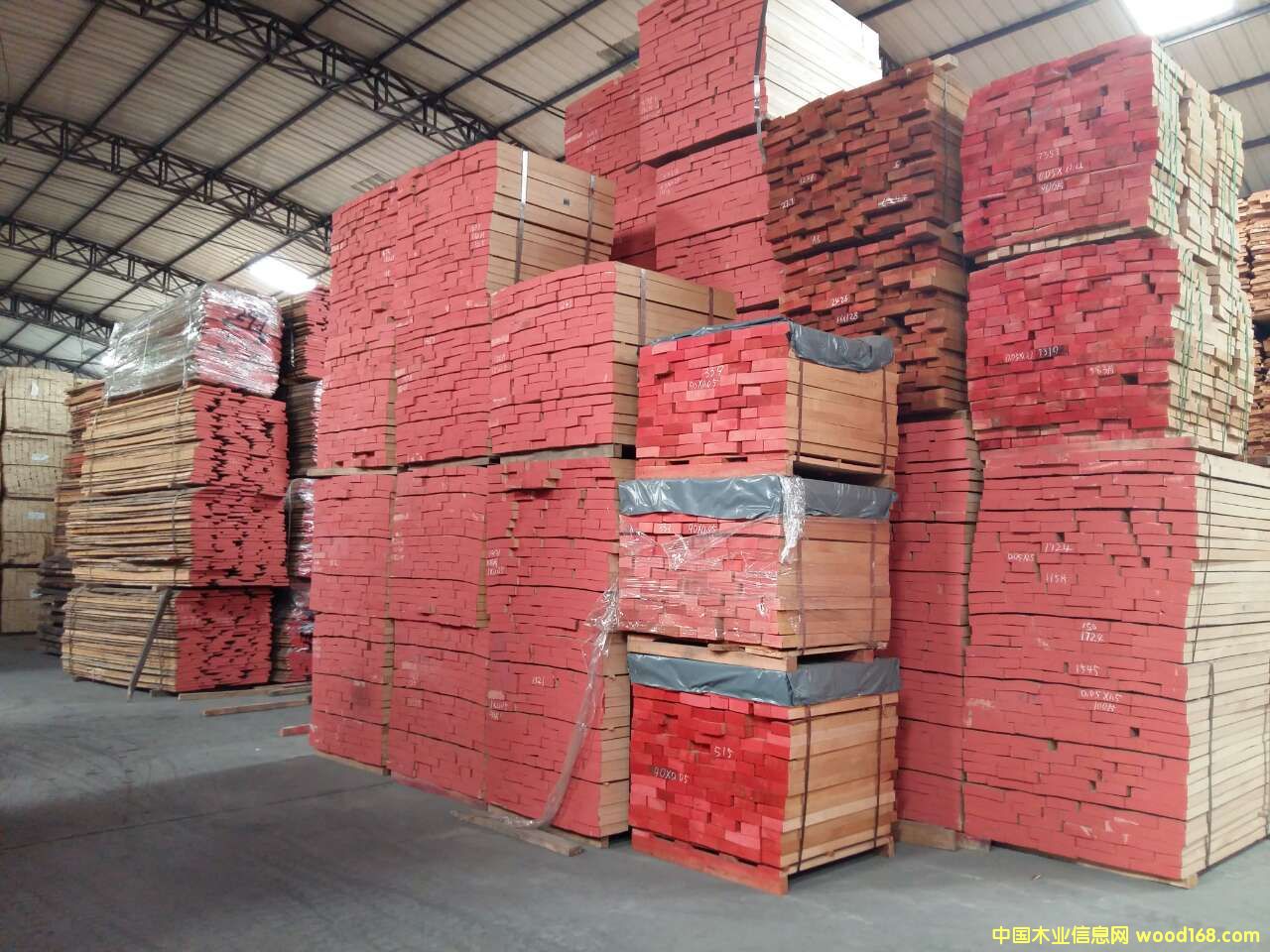 歐洲櫸木的詳細(xì)介紹