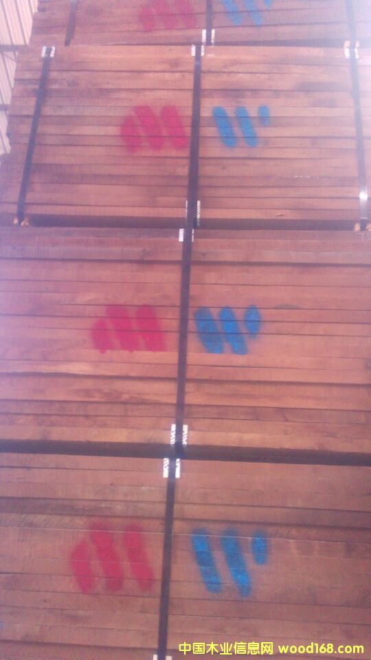 黑胡桃的詳細介紹