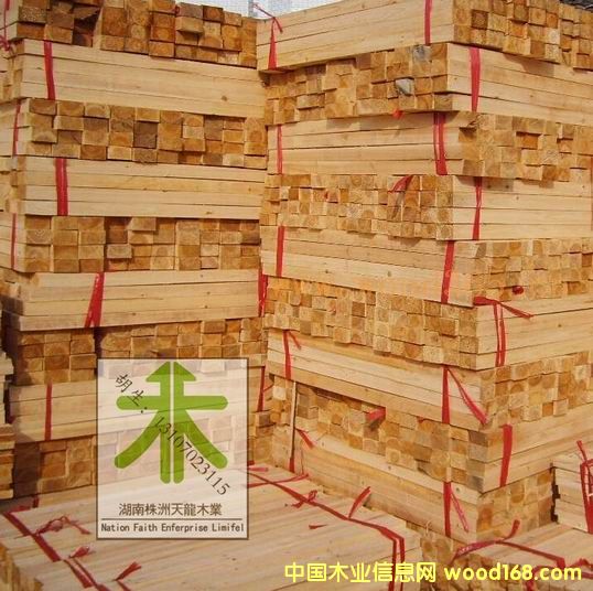 杉木條的詳細(xì)介紹