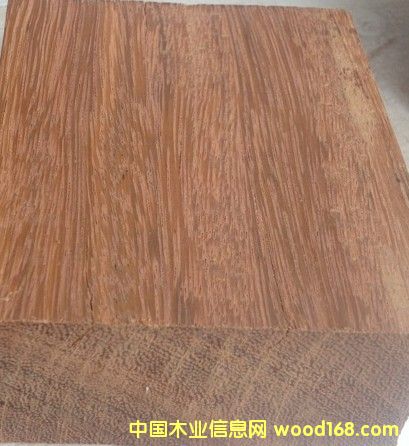 ���޲��}��2��Ԕ��(x��)��B