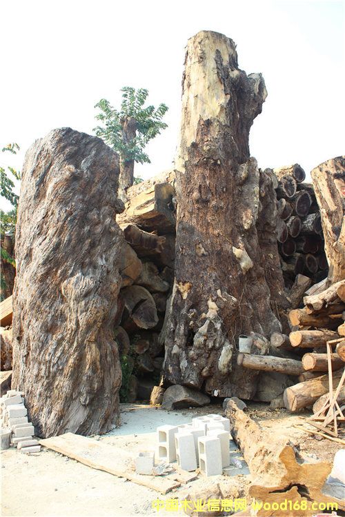 �S��骾ޘ�(sh��)��Ԕ��(x��)��B