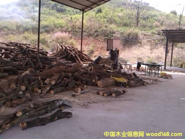 ����ľ����Ԕ��(x��)��B