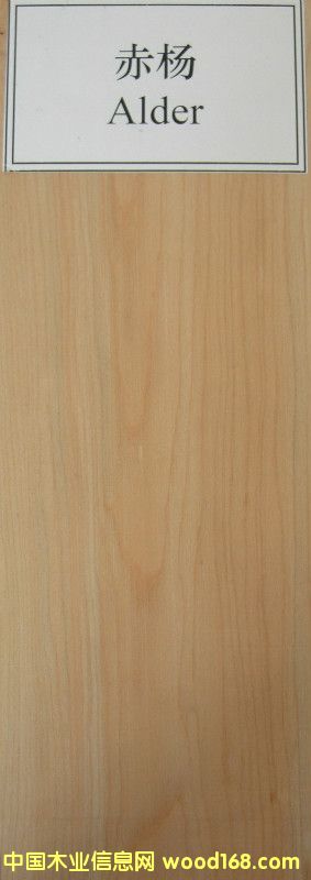 �����Ԕ��(x��)��B