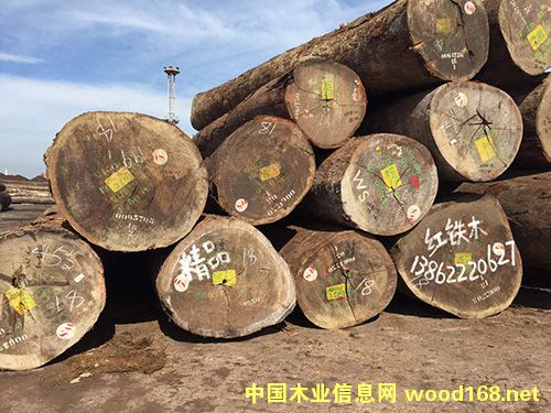 �t�Fľ��Ԕ��(x��)��B