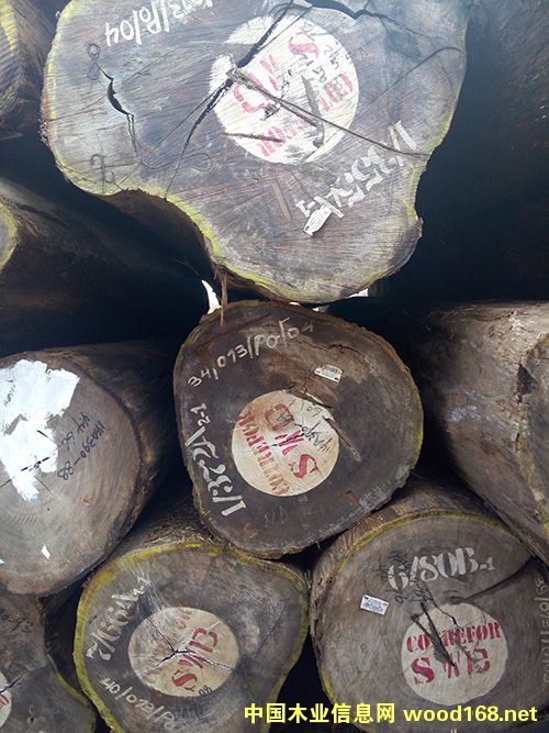 ��ľ����Ԕ��(x��)��B