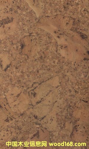 ܛľ�ذ�CF084024